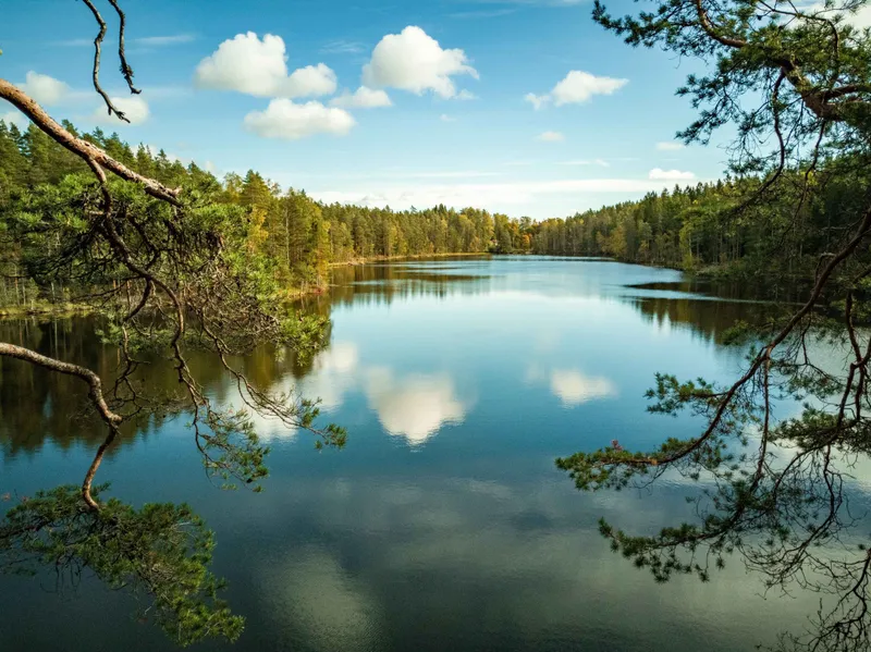 Puunkaato saaristossa ja saarilla - Erikoistunut puunkaatopalvelu Helsingin saaristoon ja saarille